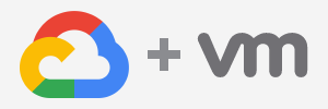 Google Cloud + VMware
